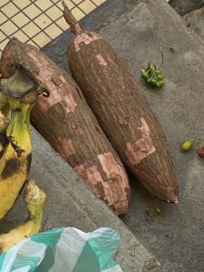 2026-01-20 afrique 09