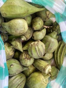 2026-01-20 afrique 10