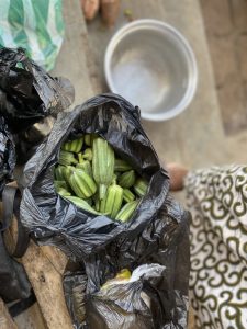 2026-01-20 afrique 12